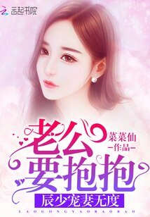 《辰少宠妻无度:老公要抱抱》