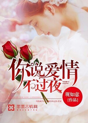 《你说爱情不过夜》